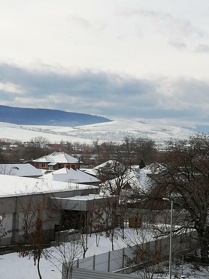 Pensiunea La Safari Târgu Neamț Exteriör bild
